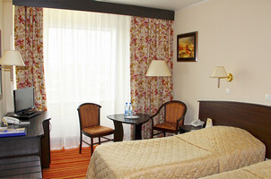 Izmailovo Hotel Room